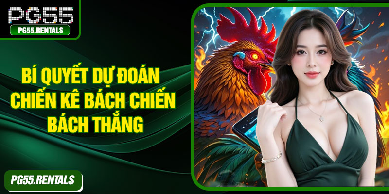 Bí quyết dự đoán chiến kê bách chiến bách thắng