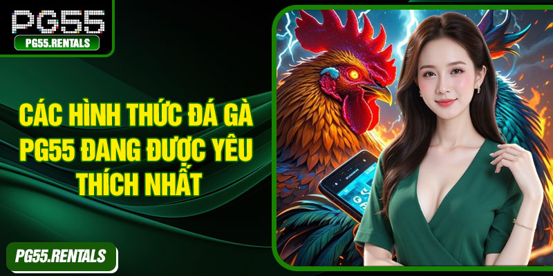 Các hình thức đá gà PG55 đang được yêu thích nhất