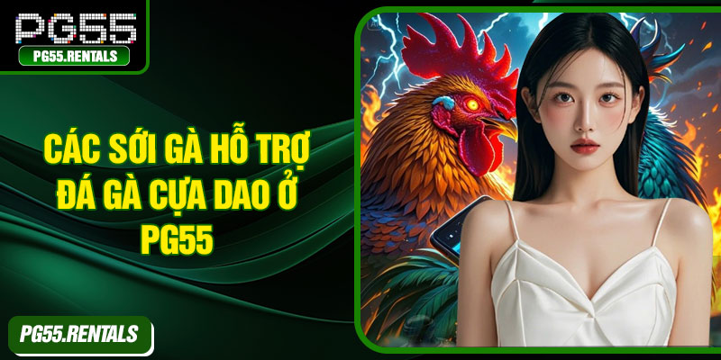 Các sới gà hỗ trợ đá gà cựa dao ở PG55