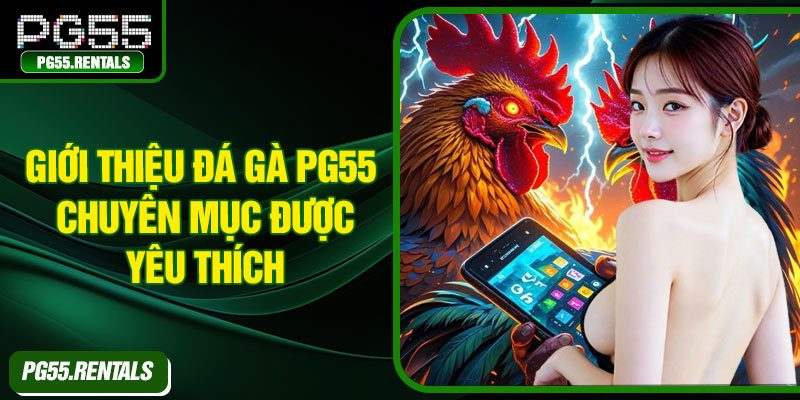 Giới thiệu đá gà PG55 – chuyên mục được yêu thích