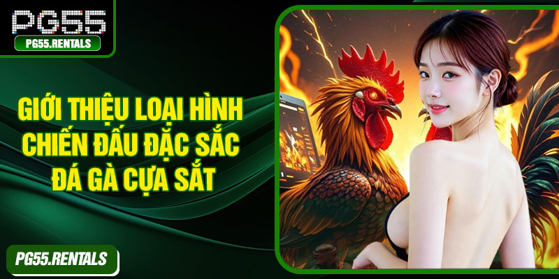 Giới thiệu loại hình chiến đấu đặc sắc đá Gà Cựa Sắt