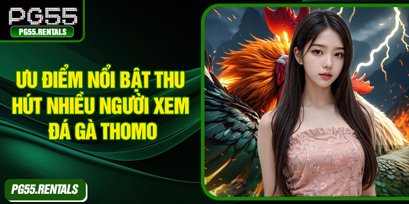 Ưu điểm nổi bật thu hút nhiều người xem đá gà Thomo